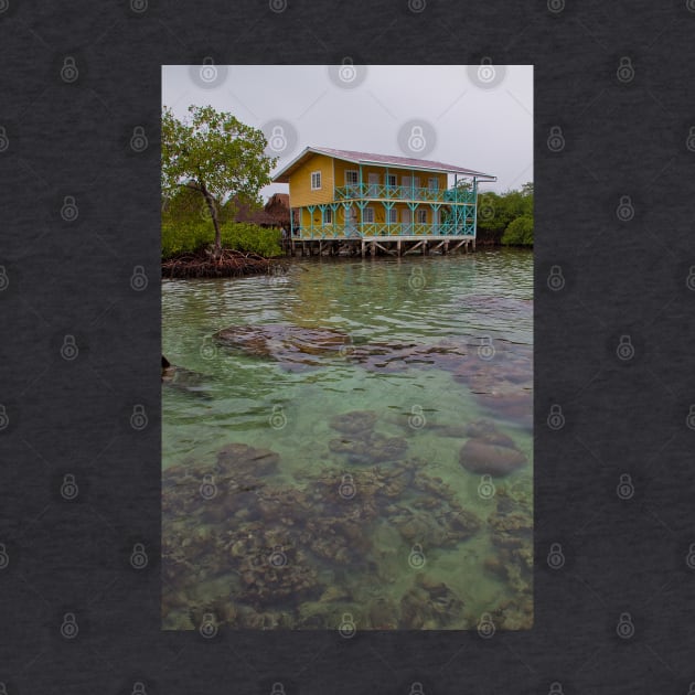 Panama. Bocas del Toro. Coral reef. by vadim19